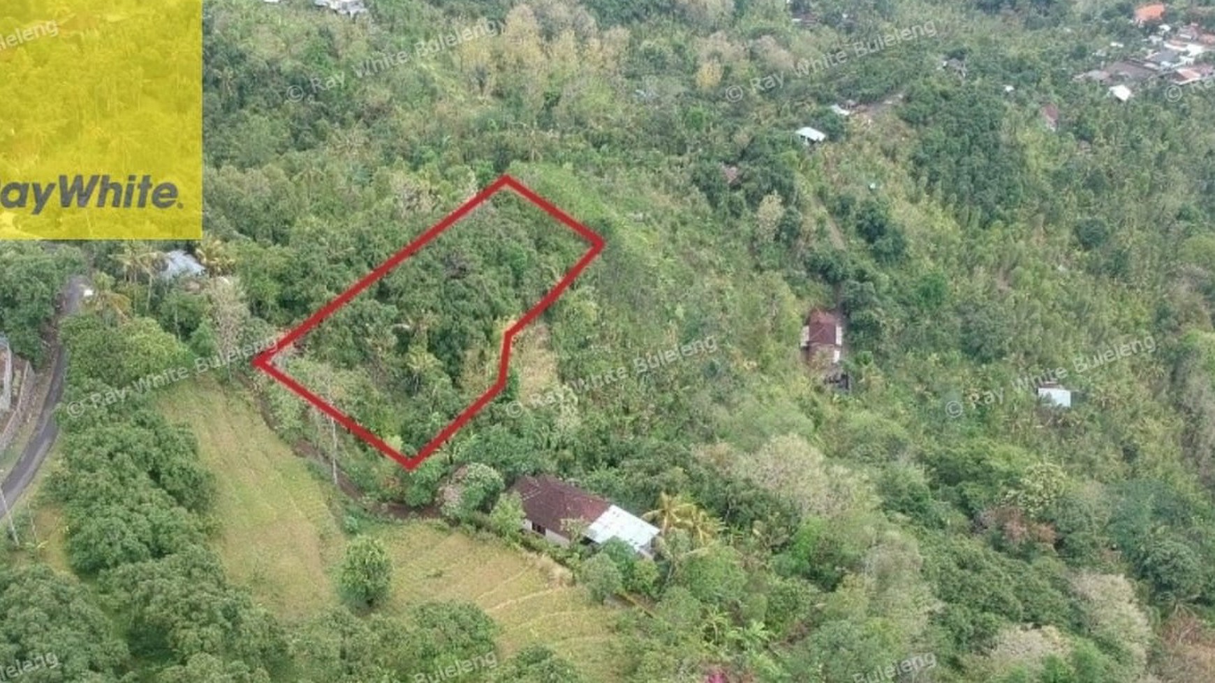 Prime 3100 sqm Land for Sale in Lovina Hills - Sea View & Green Scenery