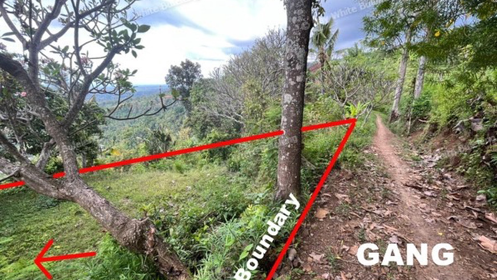 Prime 3100 sqm Land for Sale in Lovina Hills - Sea View & Green Scenery