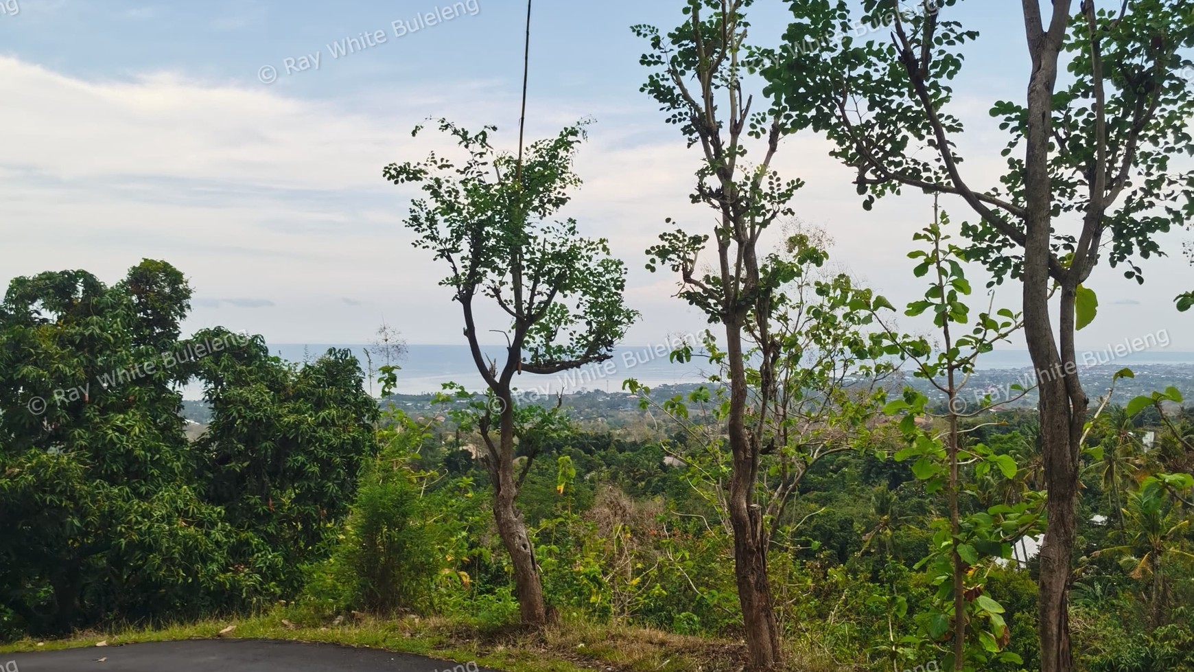 Prime 3100 sqm Land for Sale in Lovina Hills - Sea View & Green Scenery