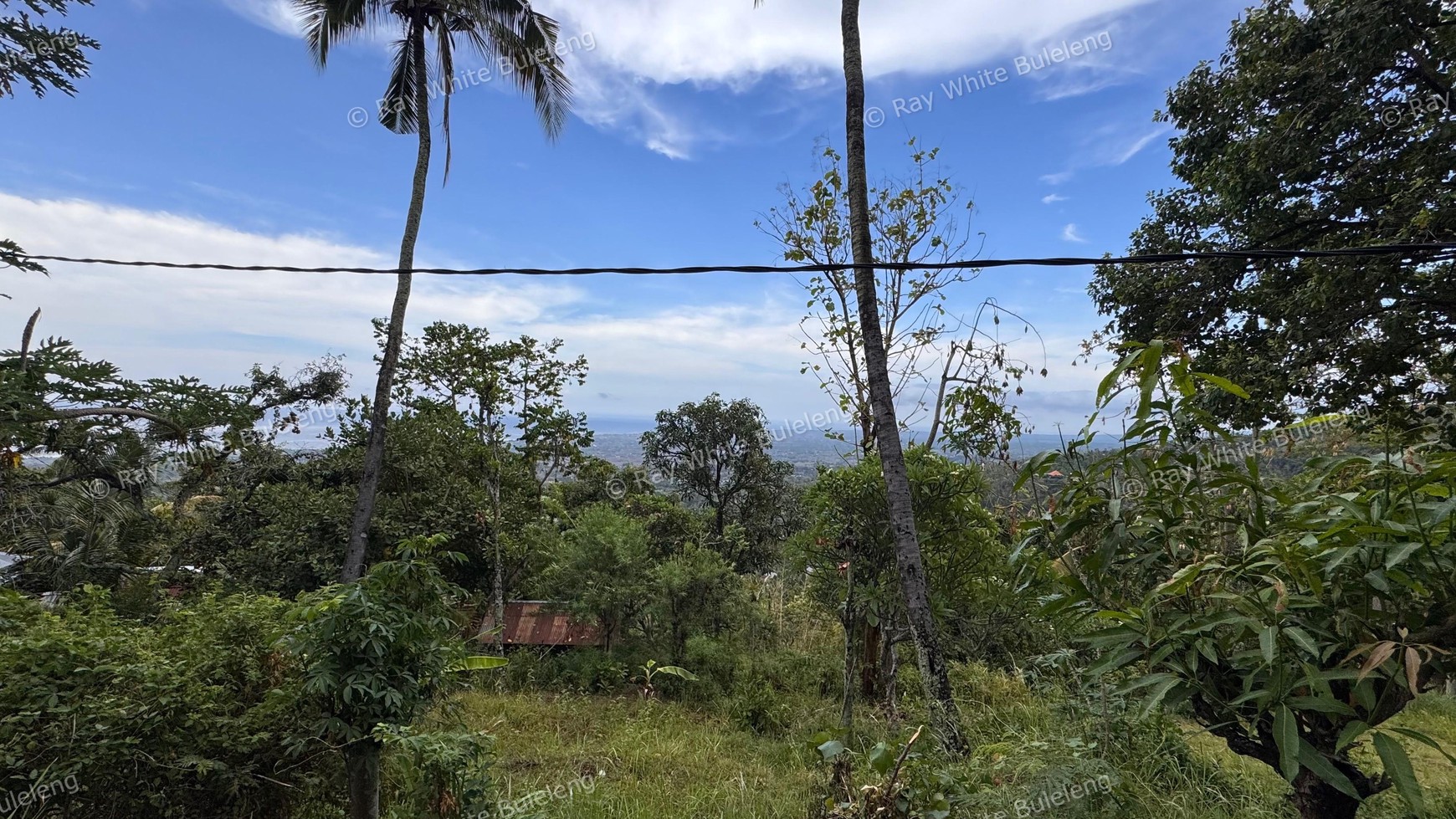 Prime 3100 sqm Land for Sale in Lovina Hills - Sea View & Green Scenery
