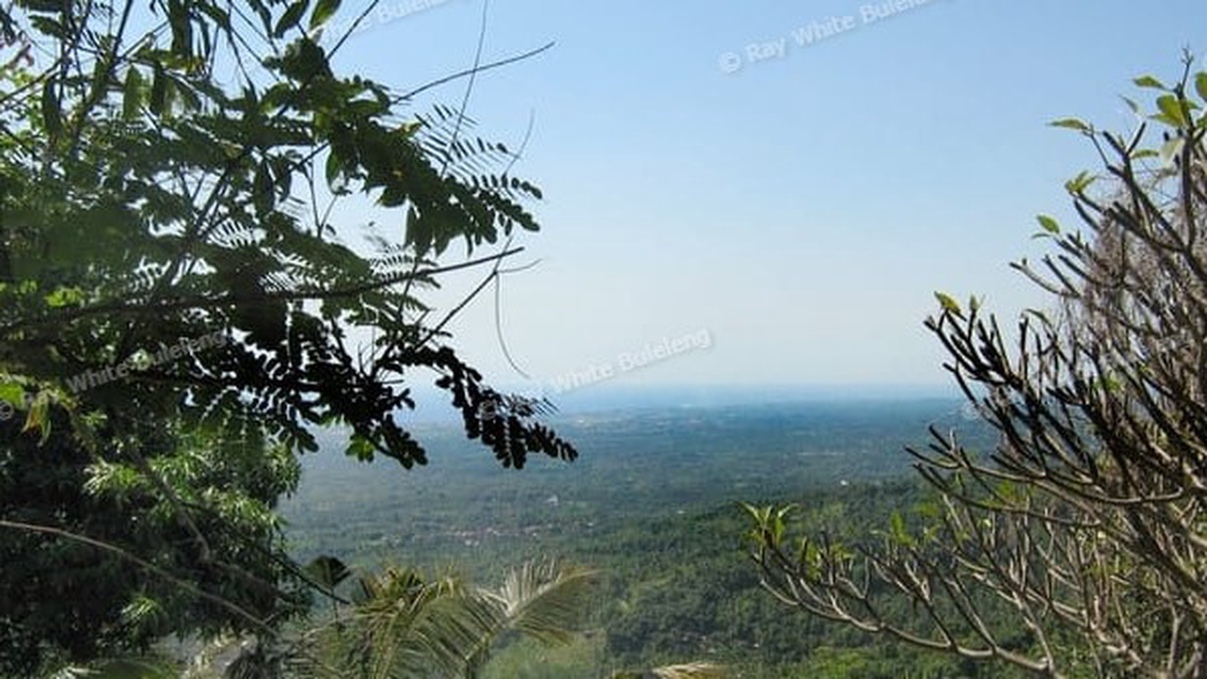 Prime 3100 sqm Land for Sale in Lovina Hills - Sea View & Green Scenery