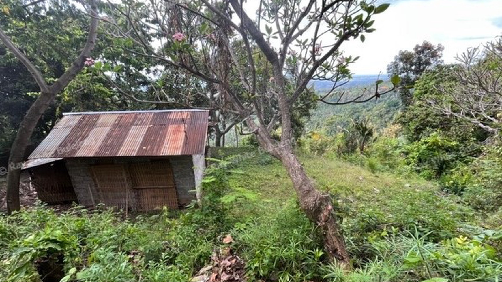 Prime 3100 sqm Land for Sale in Lovina Hills - Sea View & Green Scenery