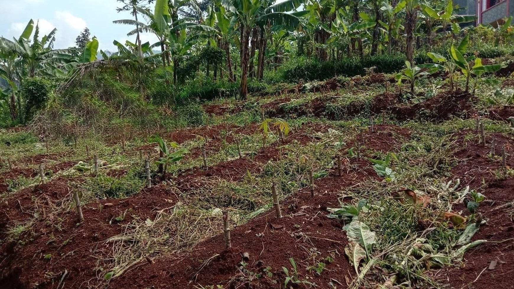 Dijual Tanah Siap Bangun View Kota Bandung di Kawasan Cimenyan