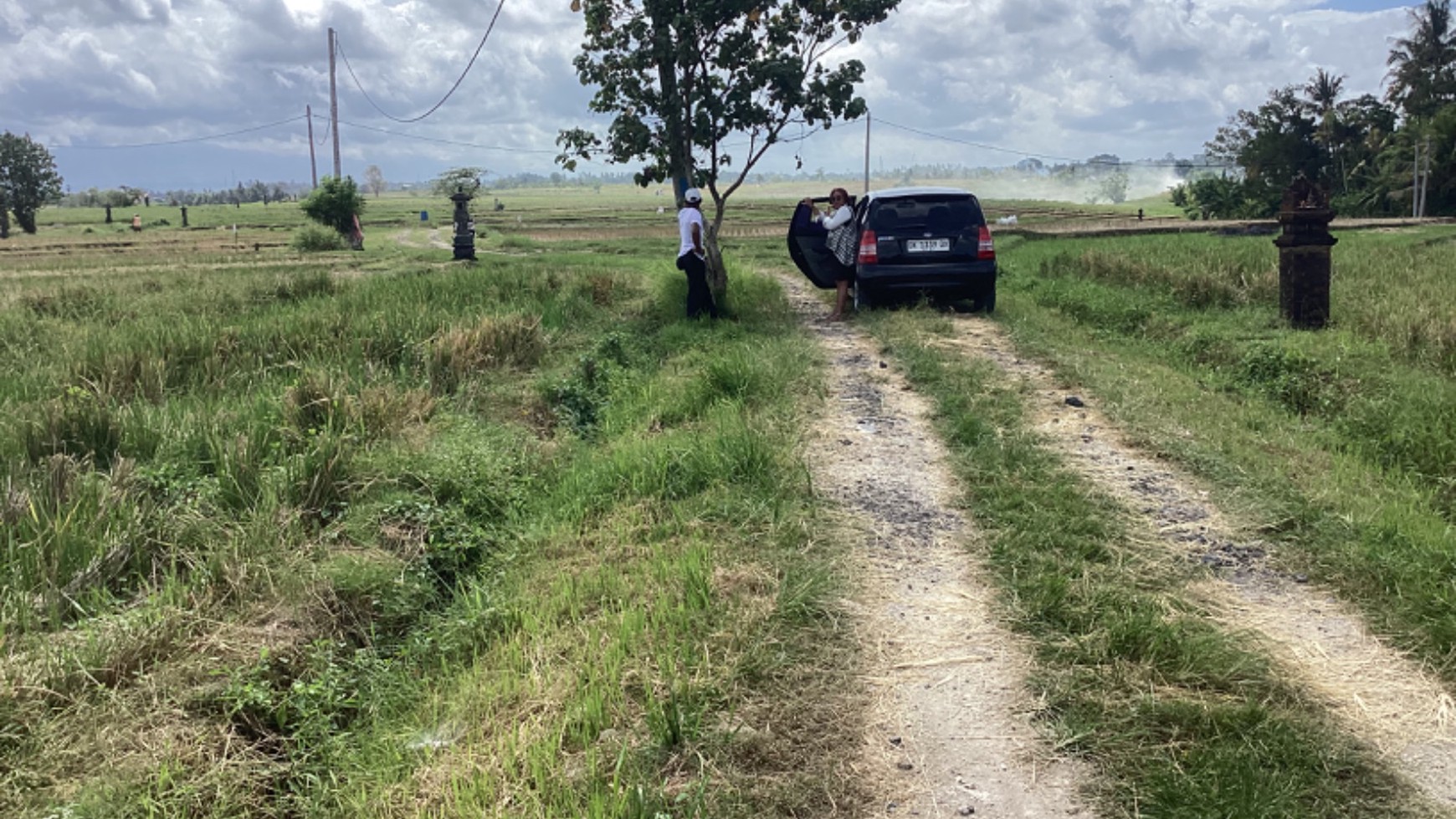 Stunning Land Freehold 2600 Sqm In Selemadeg Tabanan Bali