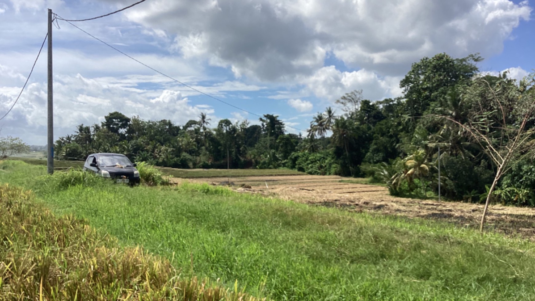 Land Freehold 2000 Sqm In Selemadeg Tabanan