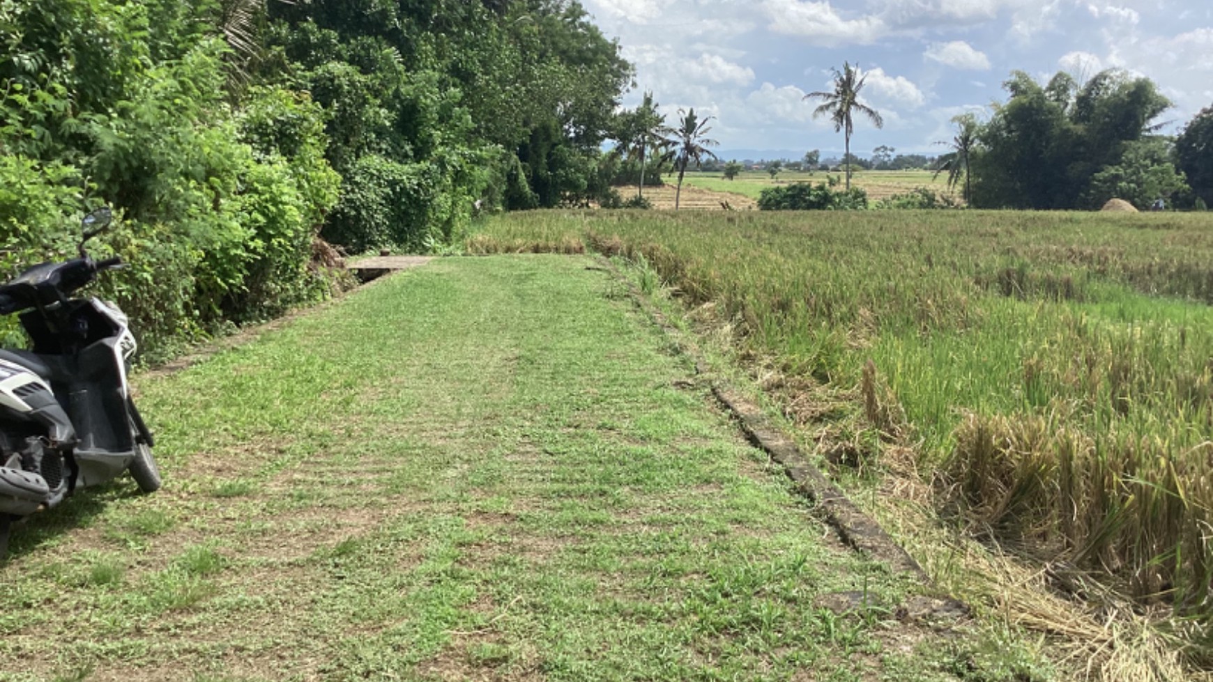 Land Freehold 2000 Sqm In Selemadeg Tabanan