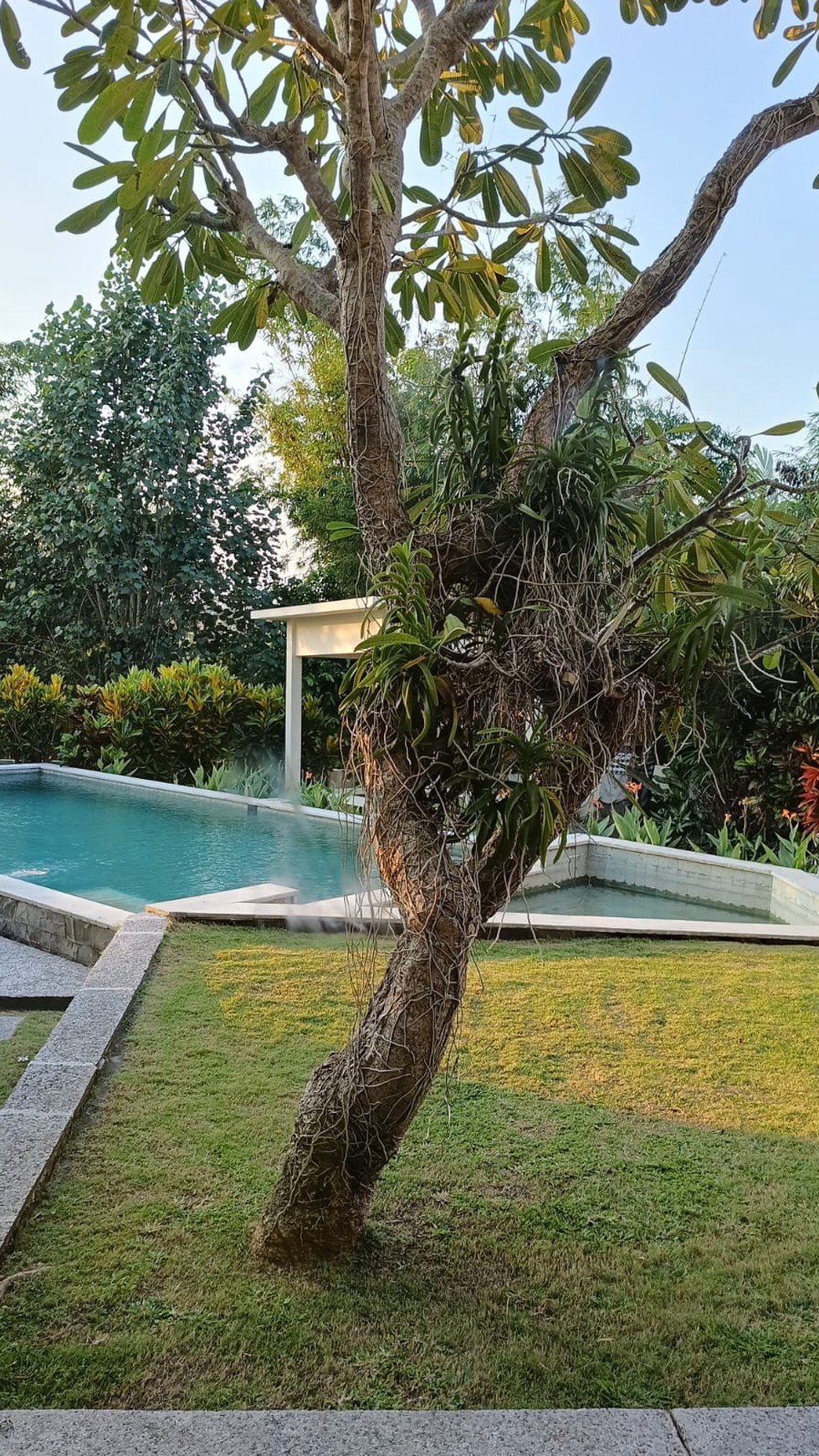 Villa Freehold 4 Bedrooms Rice field View In Pererenan Bali