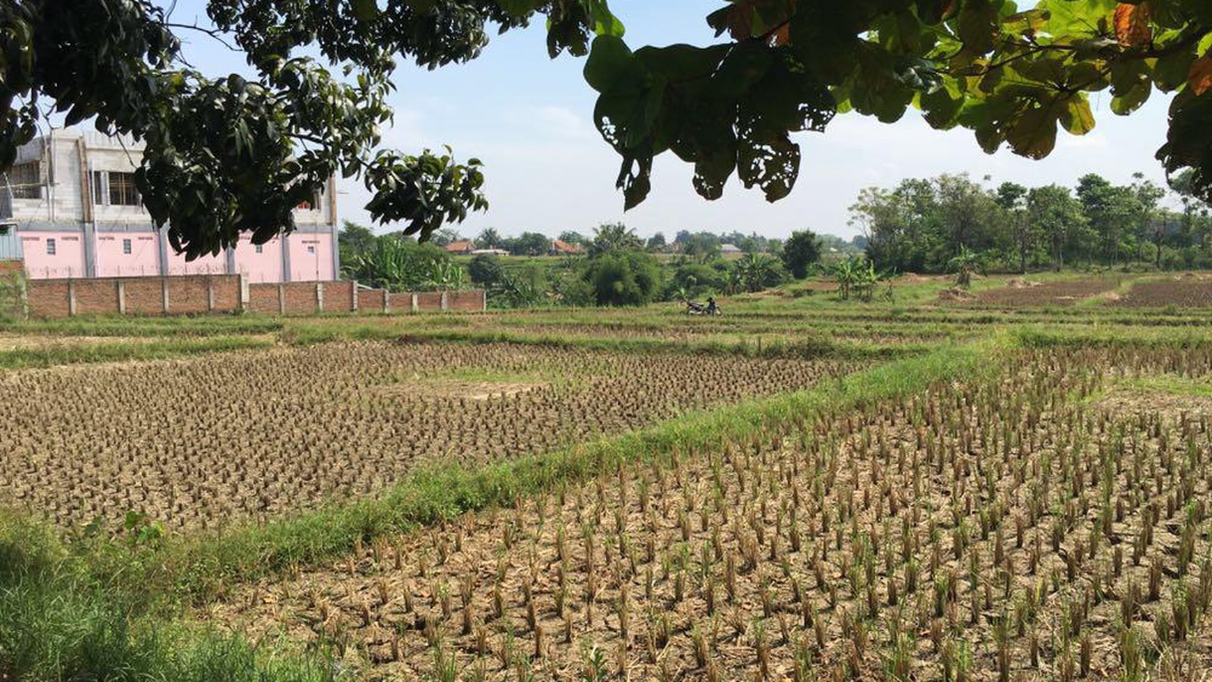 Lahan Komersil seluas 13.025m2 di Jl Raya Jonggol Cariu