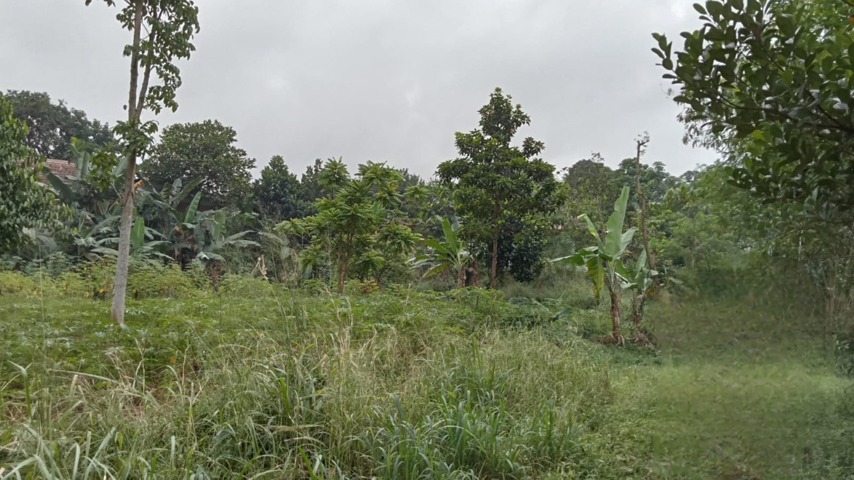 Kavling Cimanggis, tepi Setu, Bojong Gede, Bogor