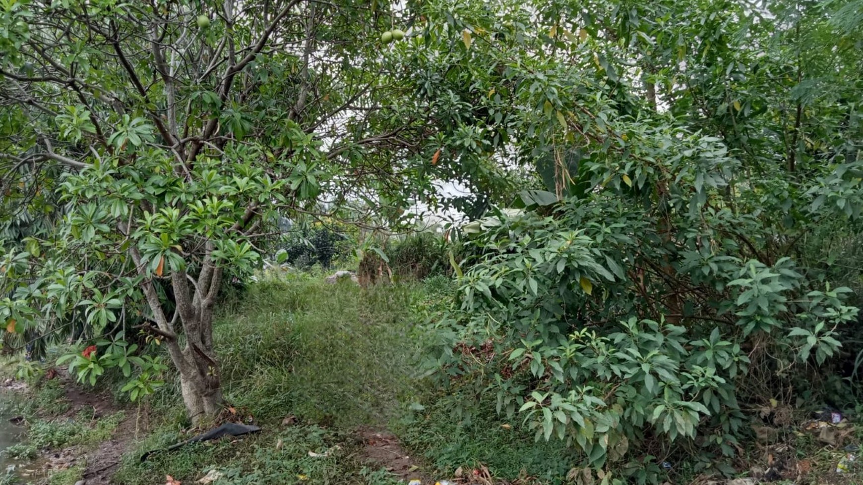 Kavling Cimanggis, tepi Setu, Bojong Gede, Bogor