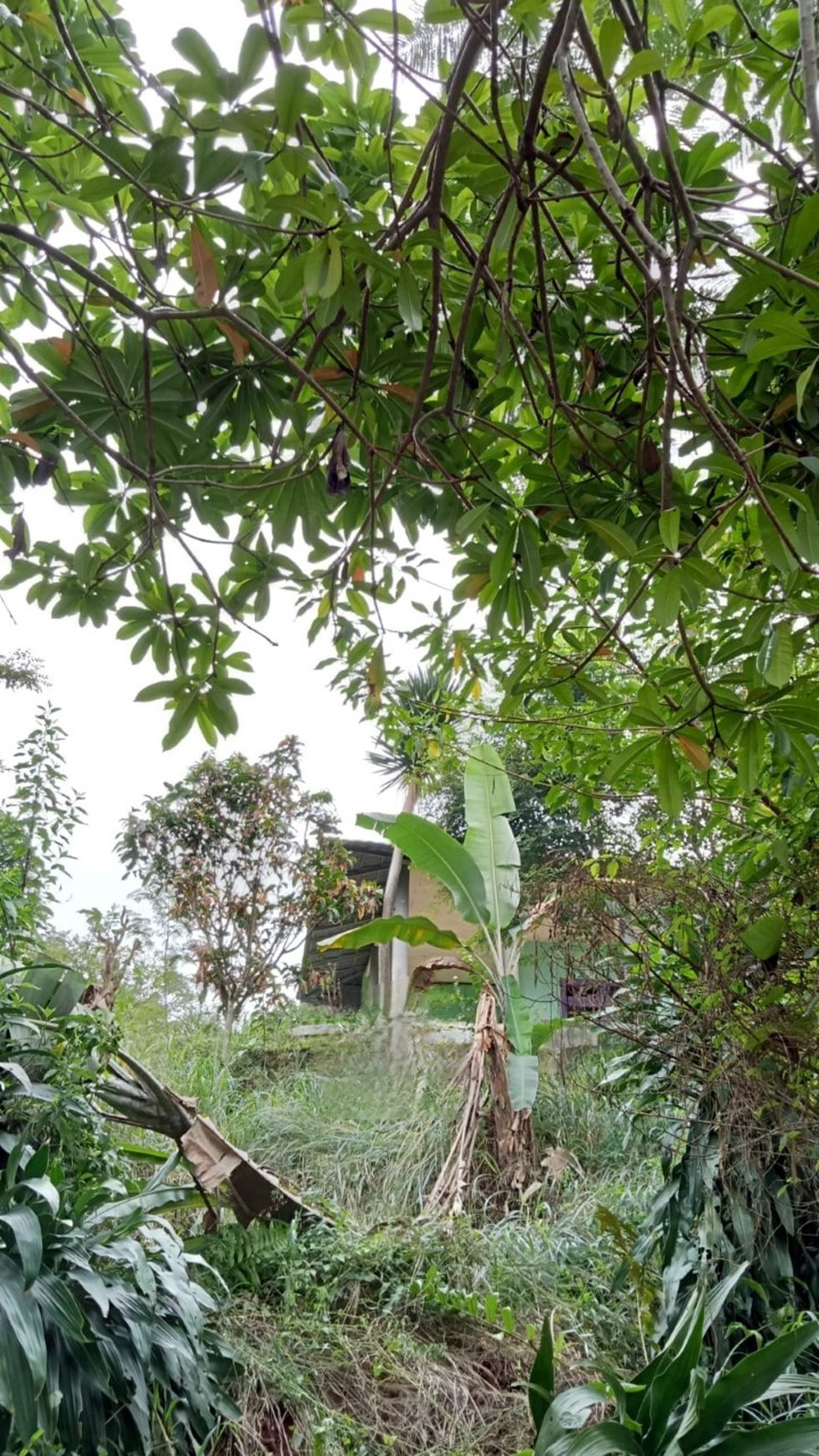 Kavling Cimanggis, tepi Setu, Bojong Gede, Bogor