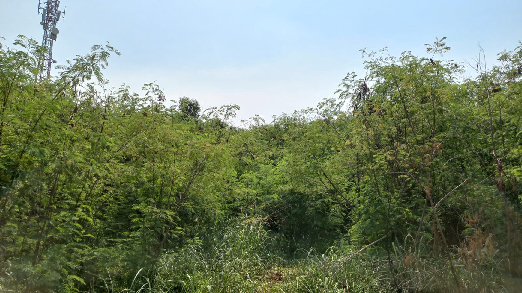 TANAH KOMERSIL DI KELAPA GADING, DEKAT MAL KELAPA GADING, MAL ARTHA GADING, MOI