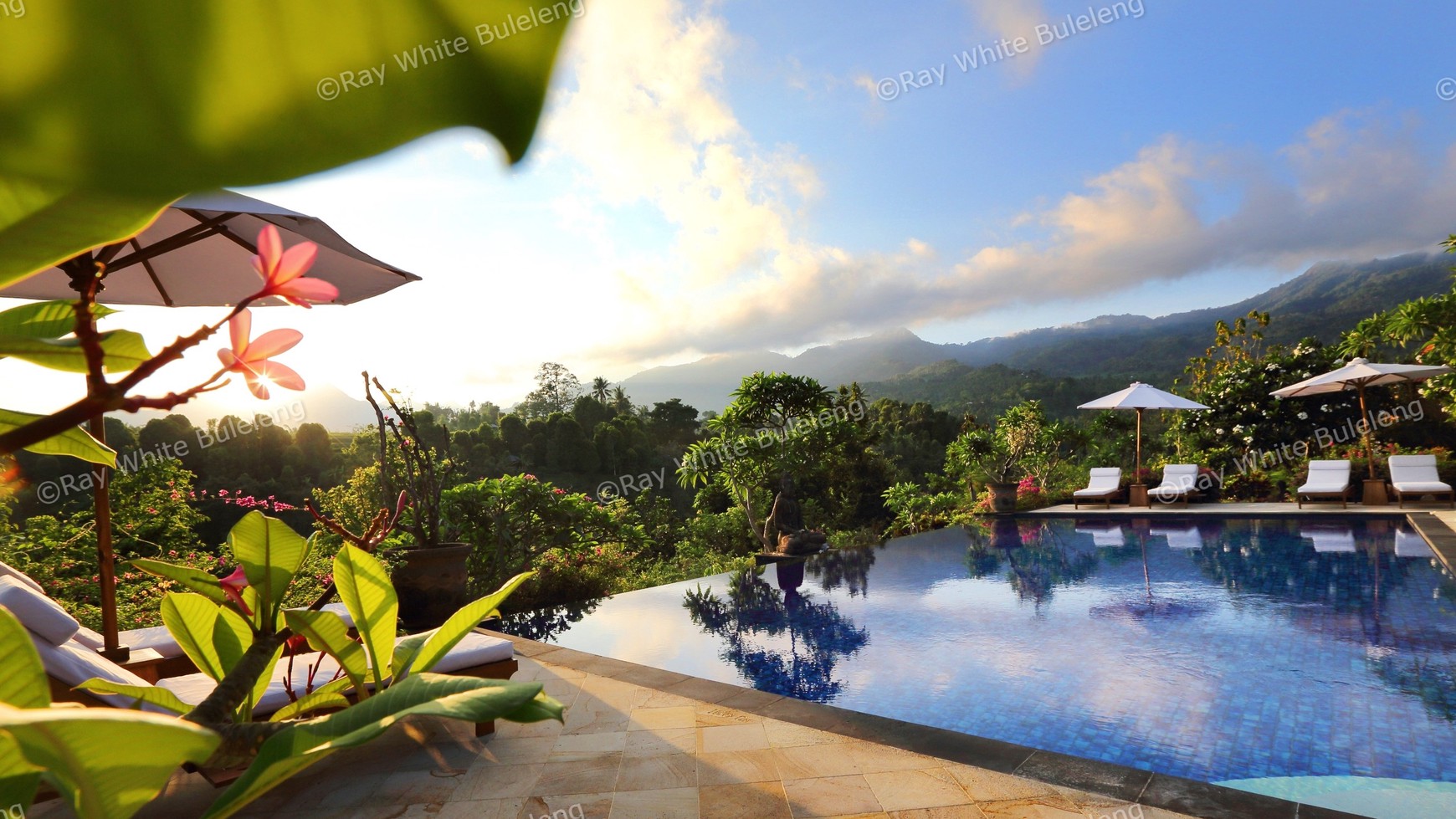 Hotel, Bar and Restaurant with Traditional and Modern Style
