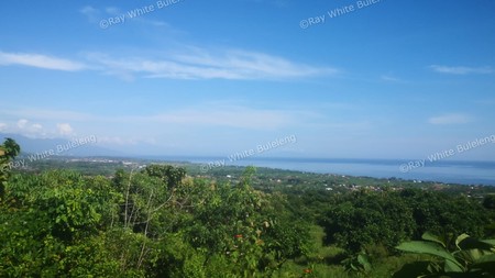 Fantastic land overlooking the lovina sea