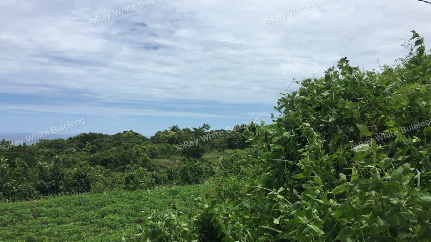 Fantastic land overlooking the lovina sea