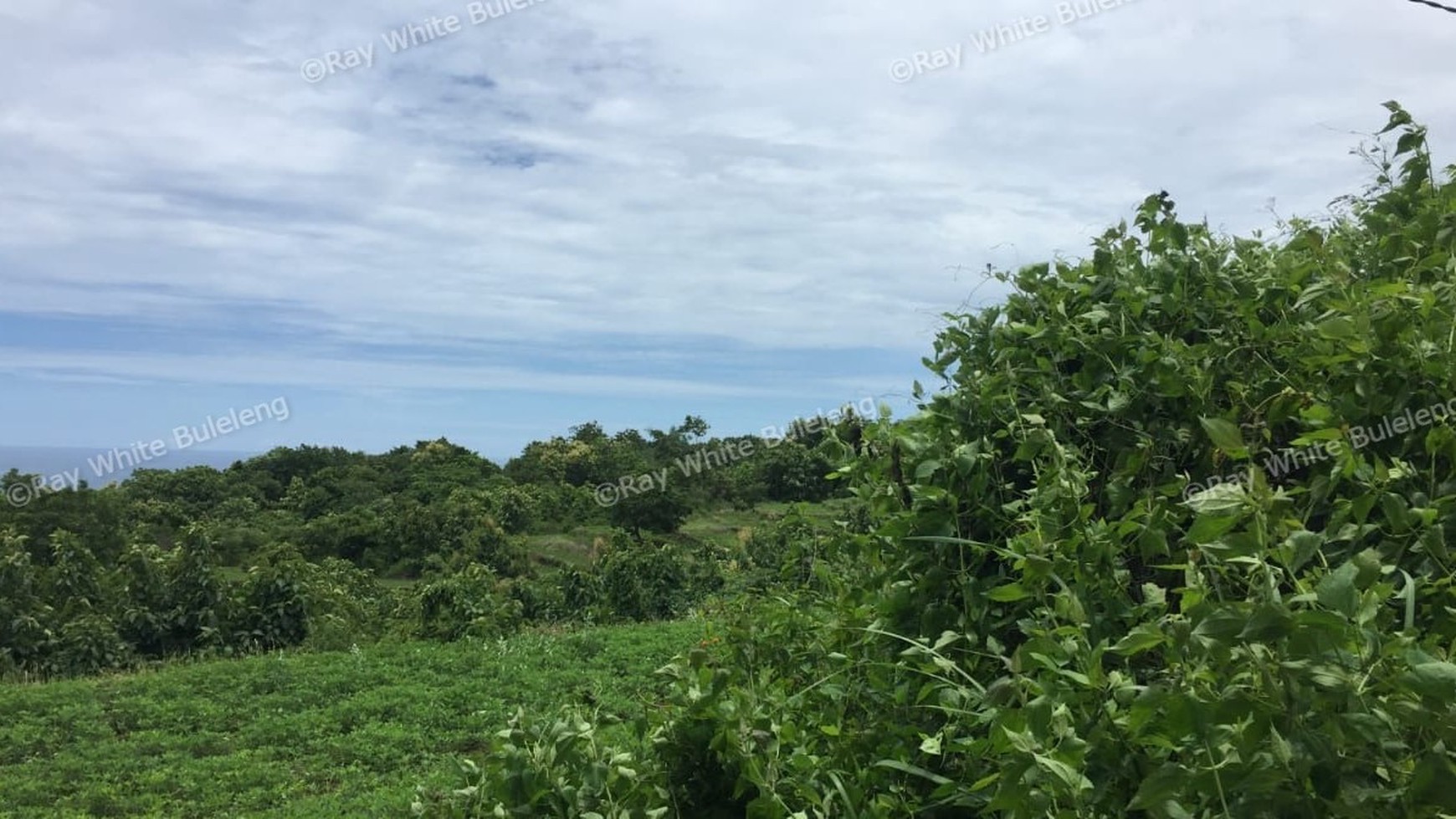 Fantastic land overlooking the lovina sea