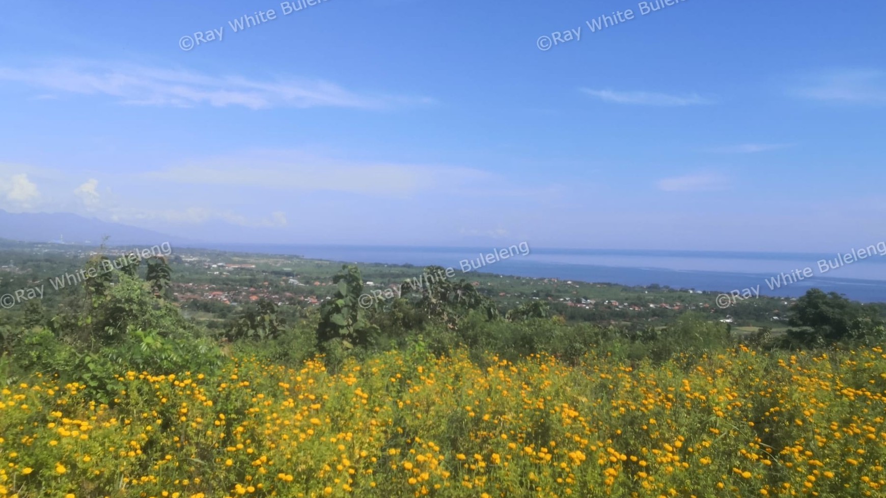 Fantastic land overlooking the lovina sea