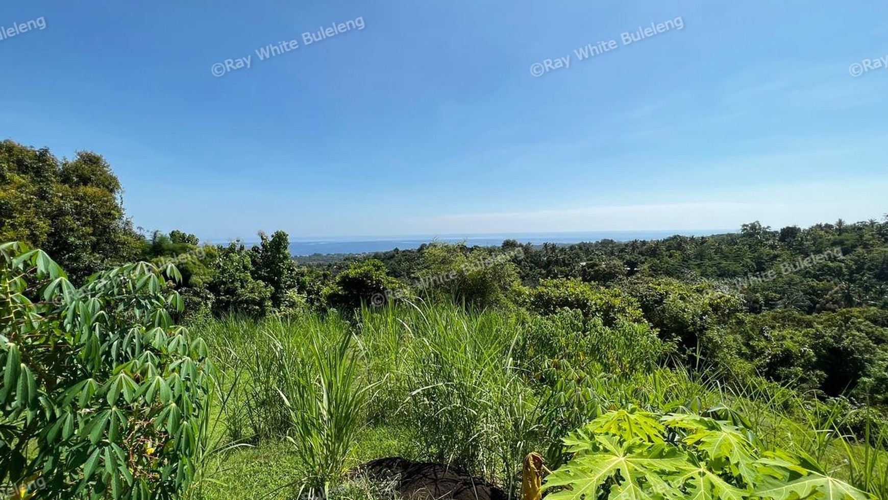 Fantastic land overlooking the lovina sea