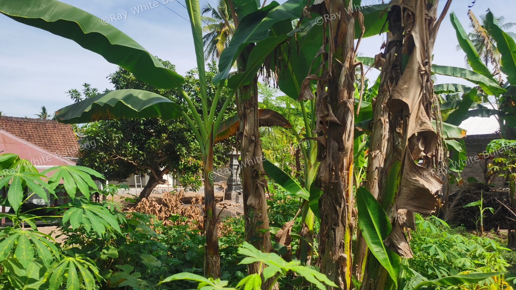 Land next to the main road for sale