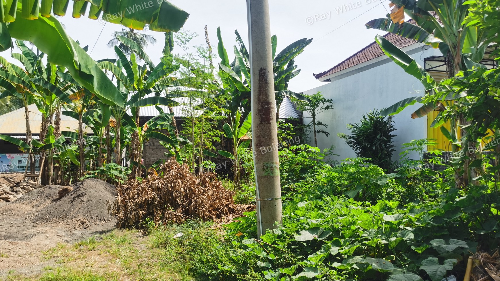 Land next to the main road for sale