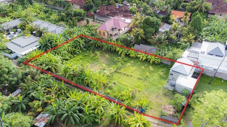 Land Located In Top Location Of Lovina Center