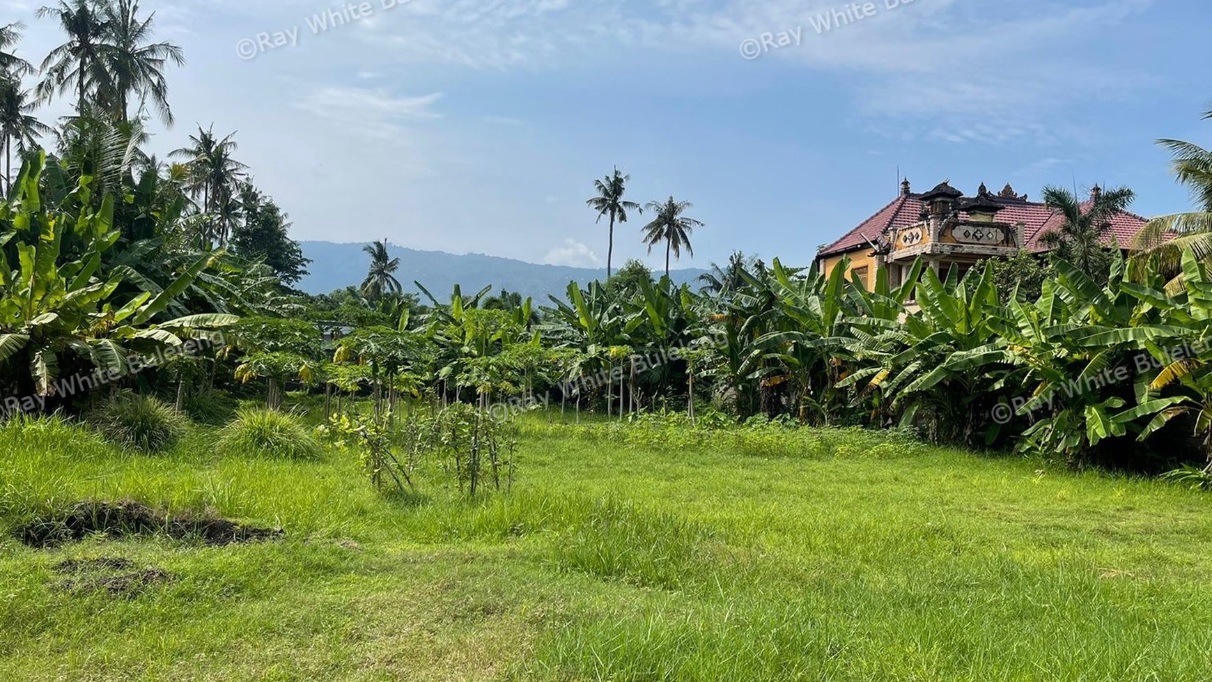Land Located In Top Location Of Lovina Center