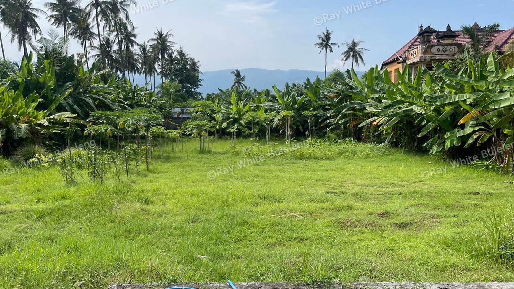Land Located In Top Location Of Lovina Center