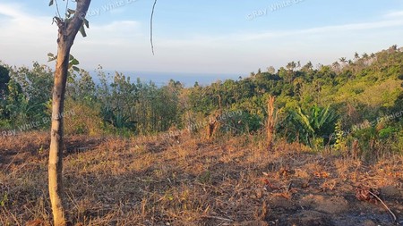Beautiful View Land on the hill above Lovina For Sale