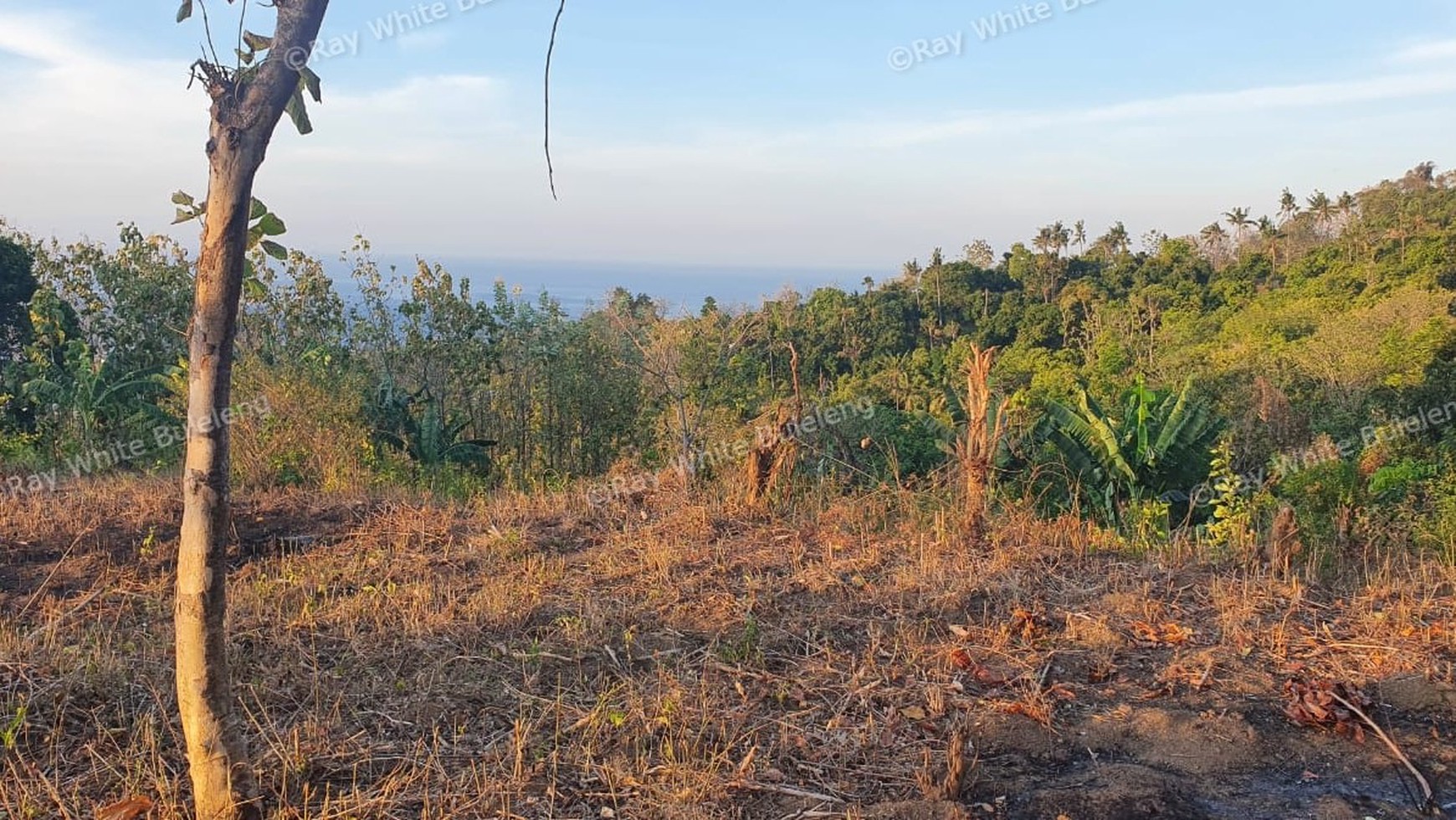 Beautiful View Land on the hill above Lovina For Sale