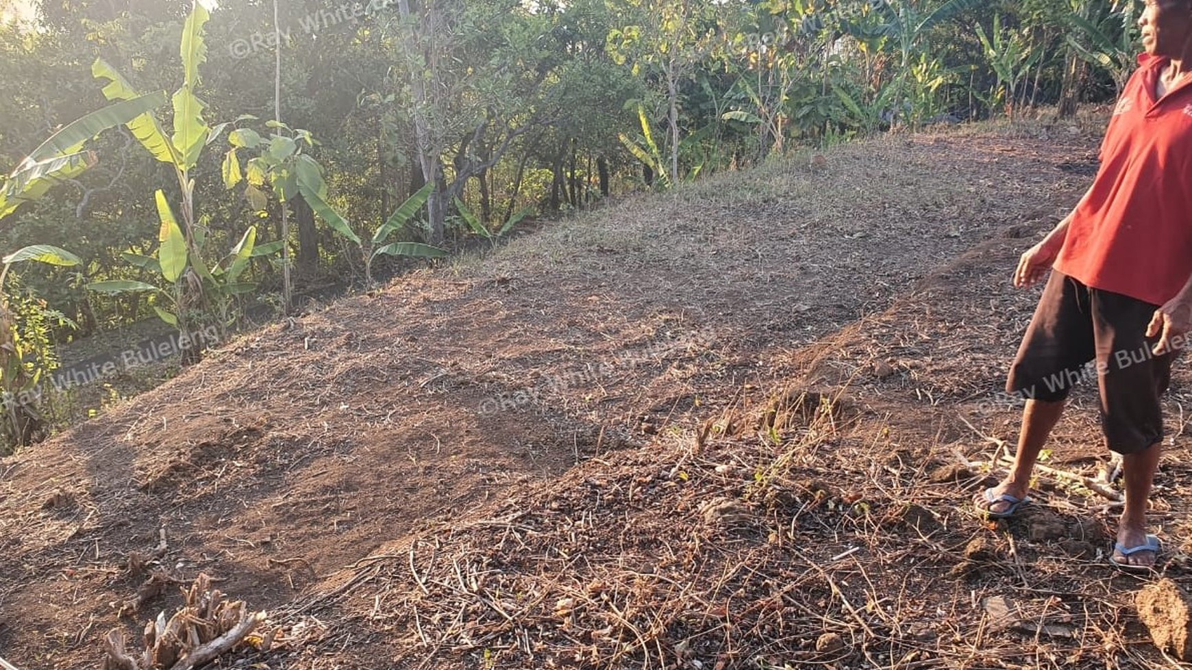Beautiful View Land on the hill above Lovina For Sale