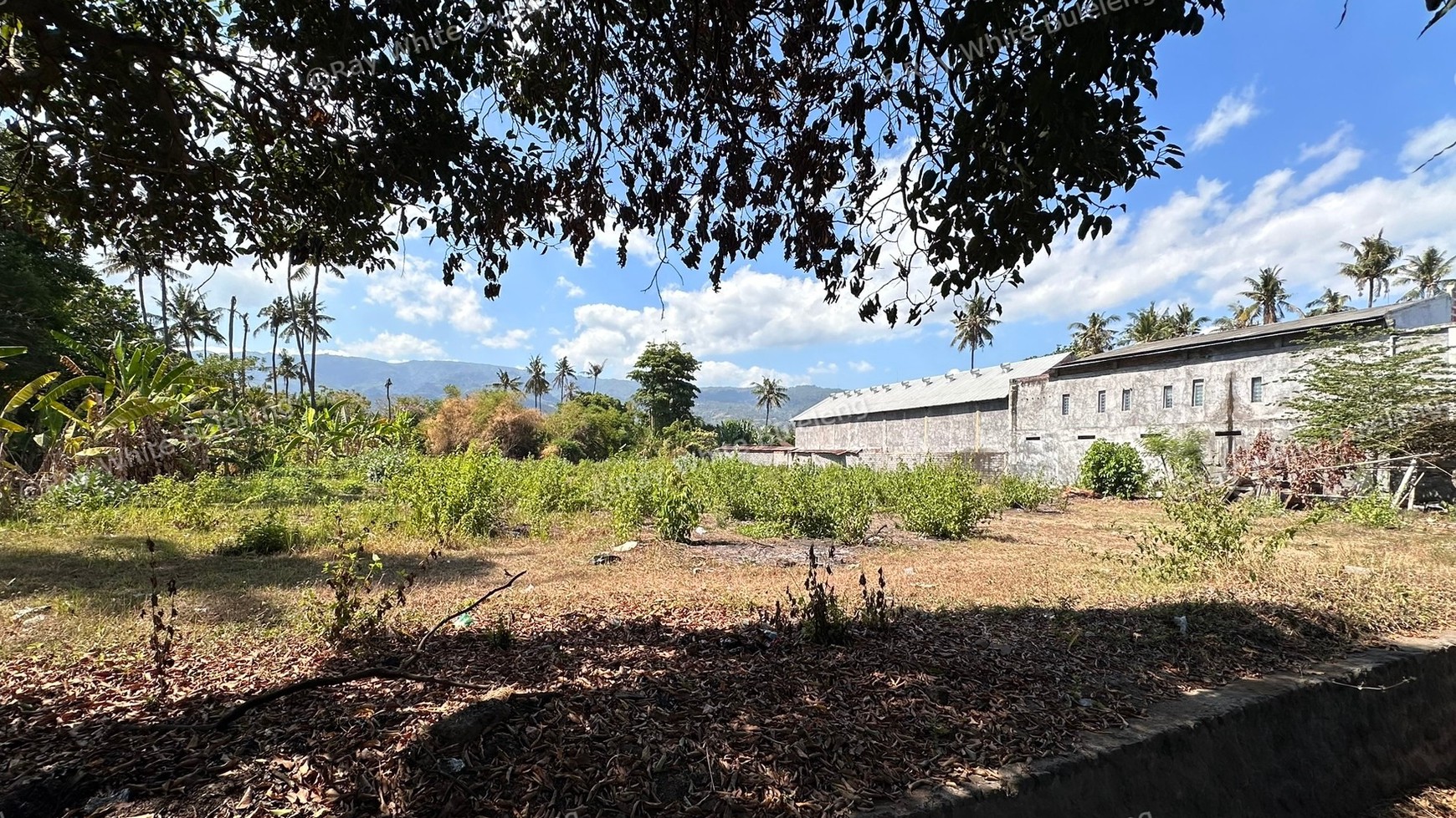 Prime Business Opportunity land for sale.