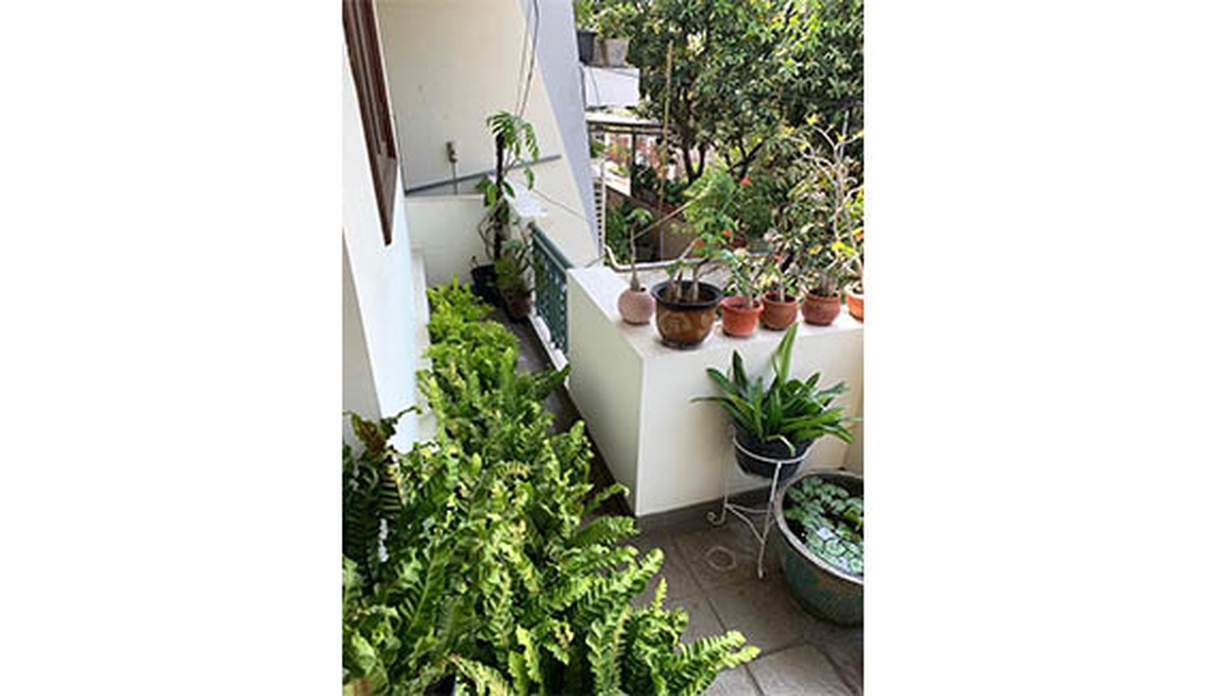 Rumah janur Elok, Kelapa Gading