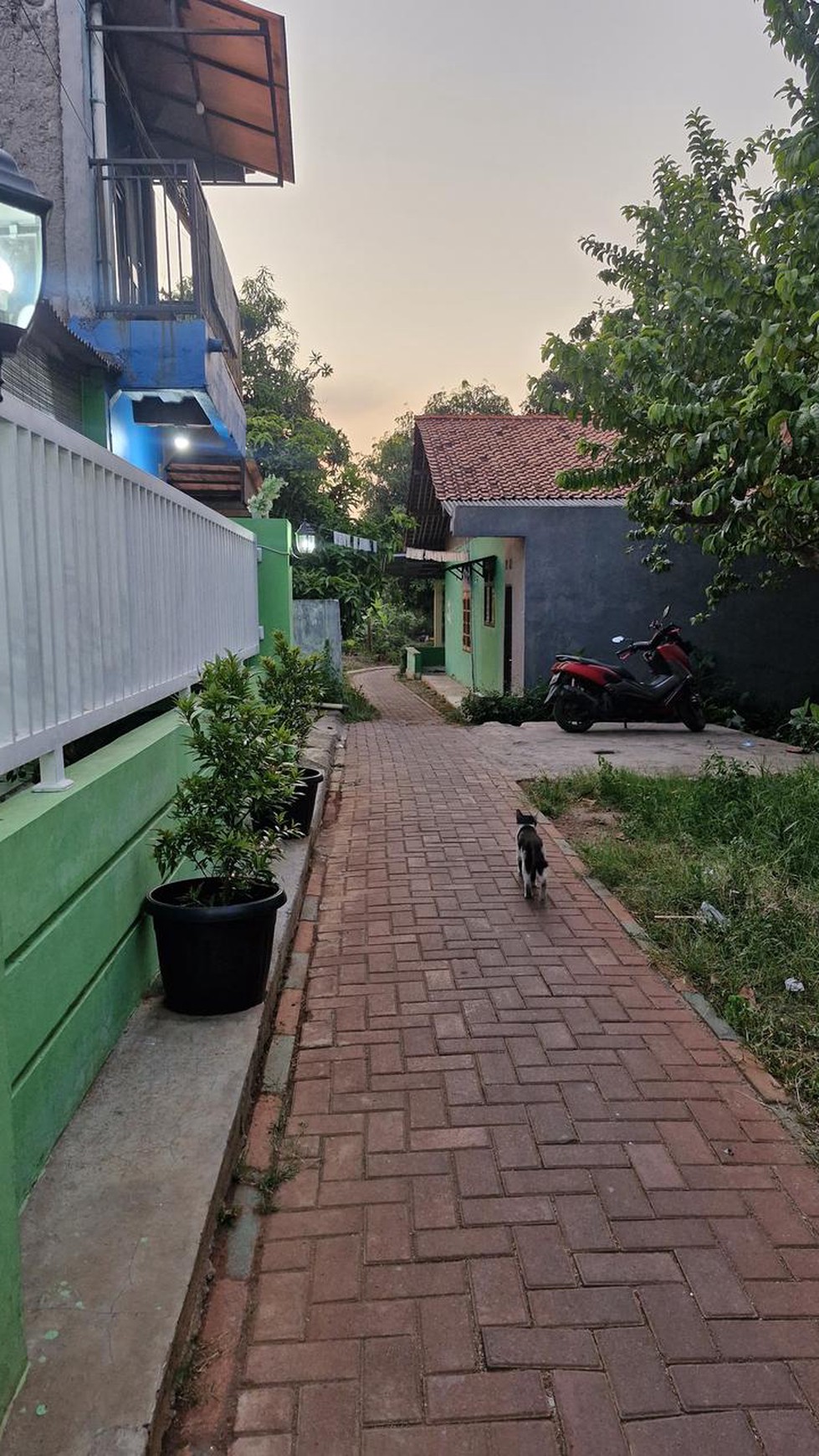 Rumah Siap Huni dengan Hunian Nyaman dan Asri di Pamulang
