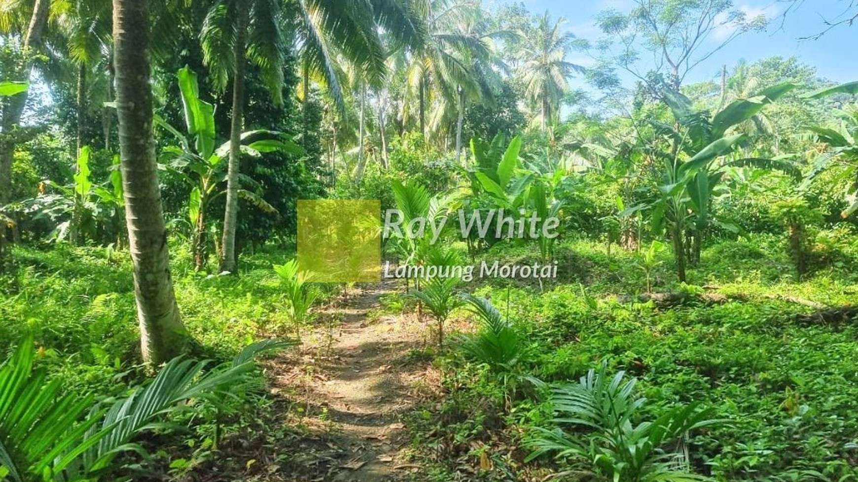 Disewakan Pulau + Villa di Pulau Legundi