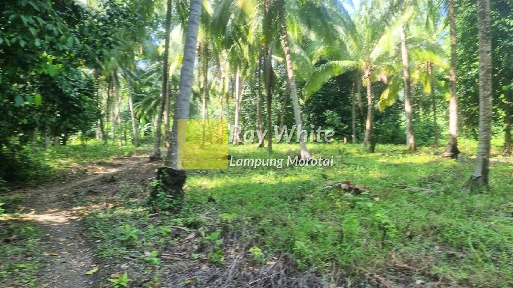 Disewakan Pulau + Villa di Pulau Legundi