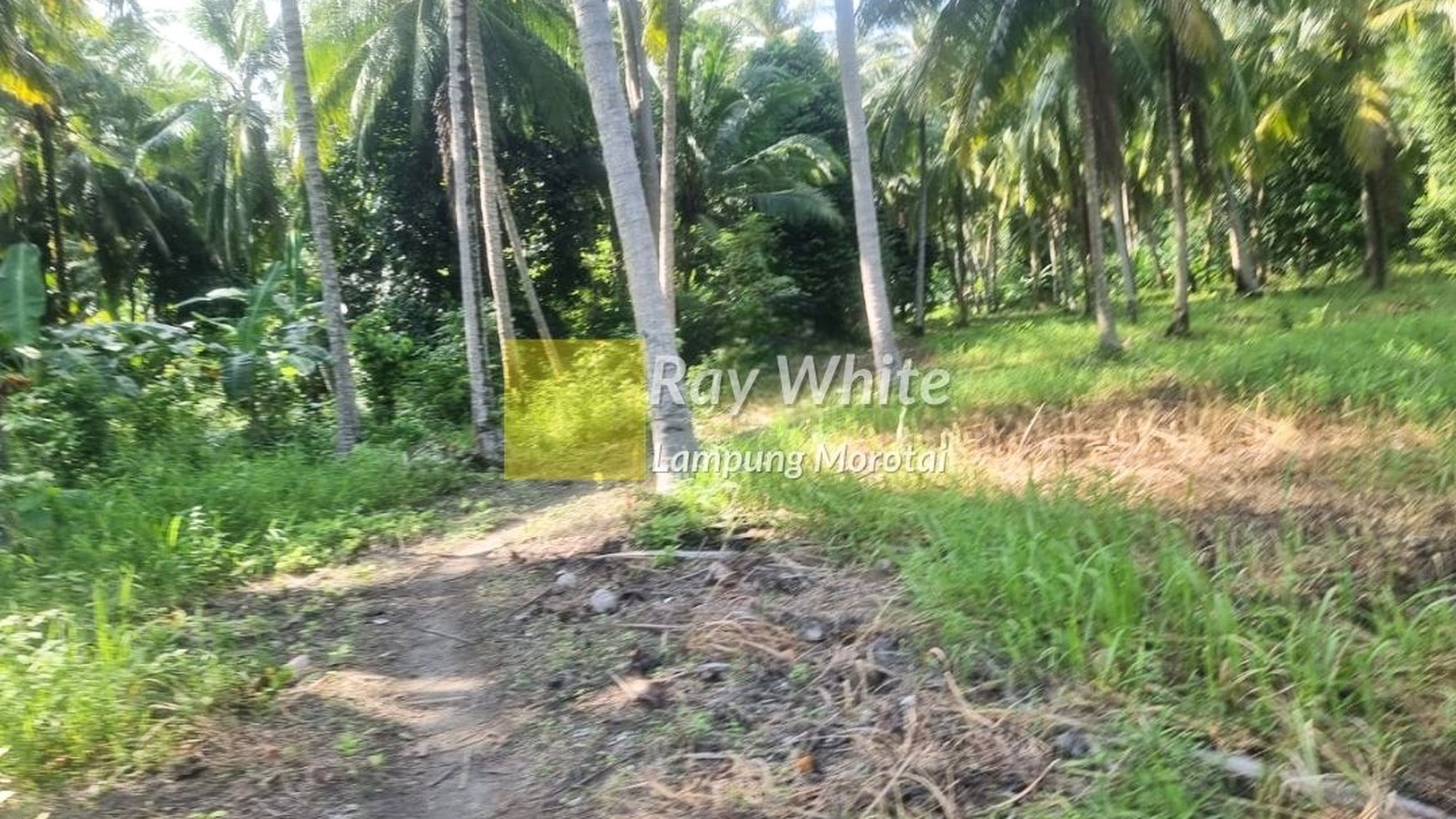 Disewakan Pulau + Villa di Pulau Legundi