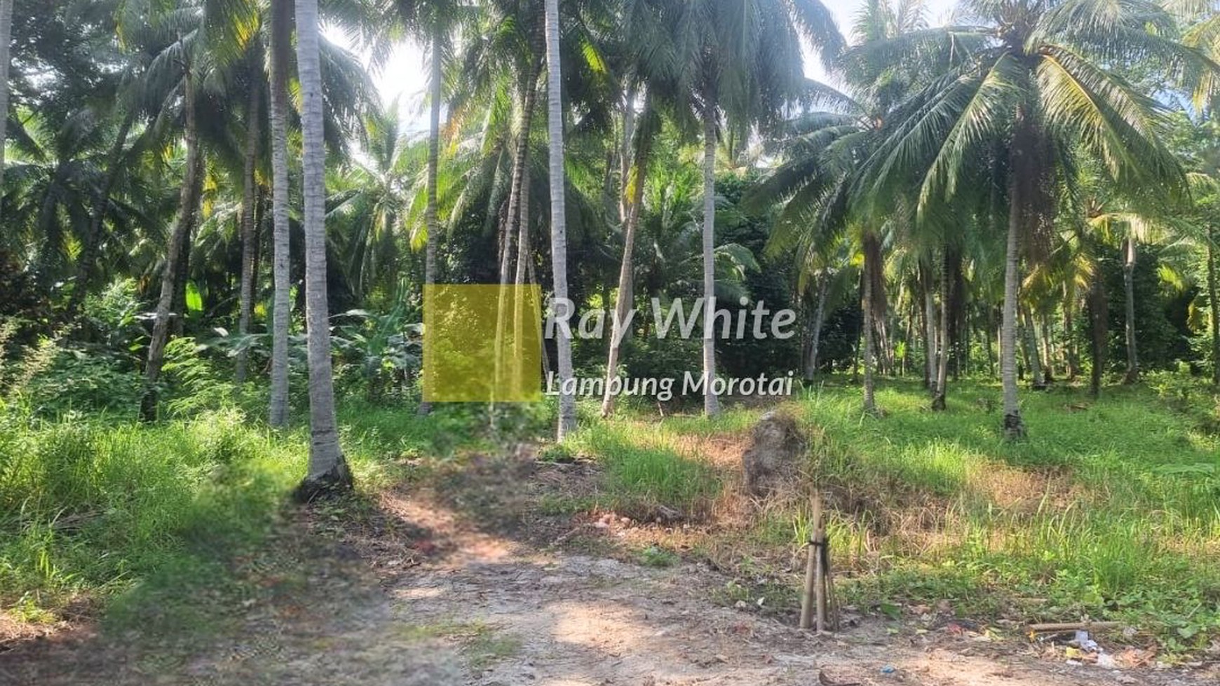 Disewakan Pulau + Villa di Pulau Legundi