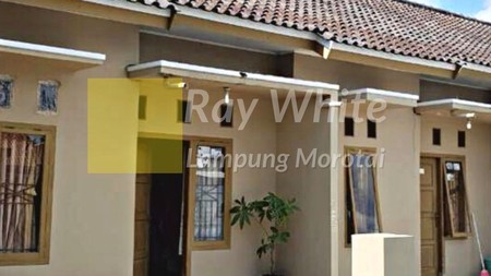 di jual kontrakan atau bedeng murah