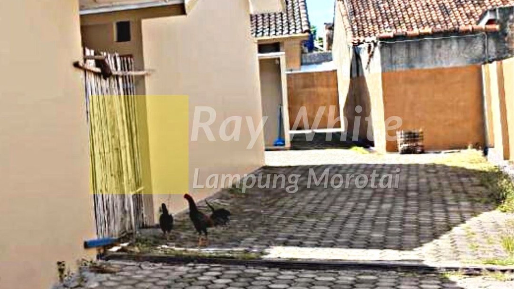 di jual kontrakan atau bedeng murah