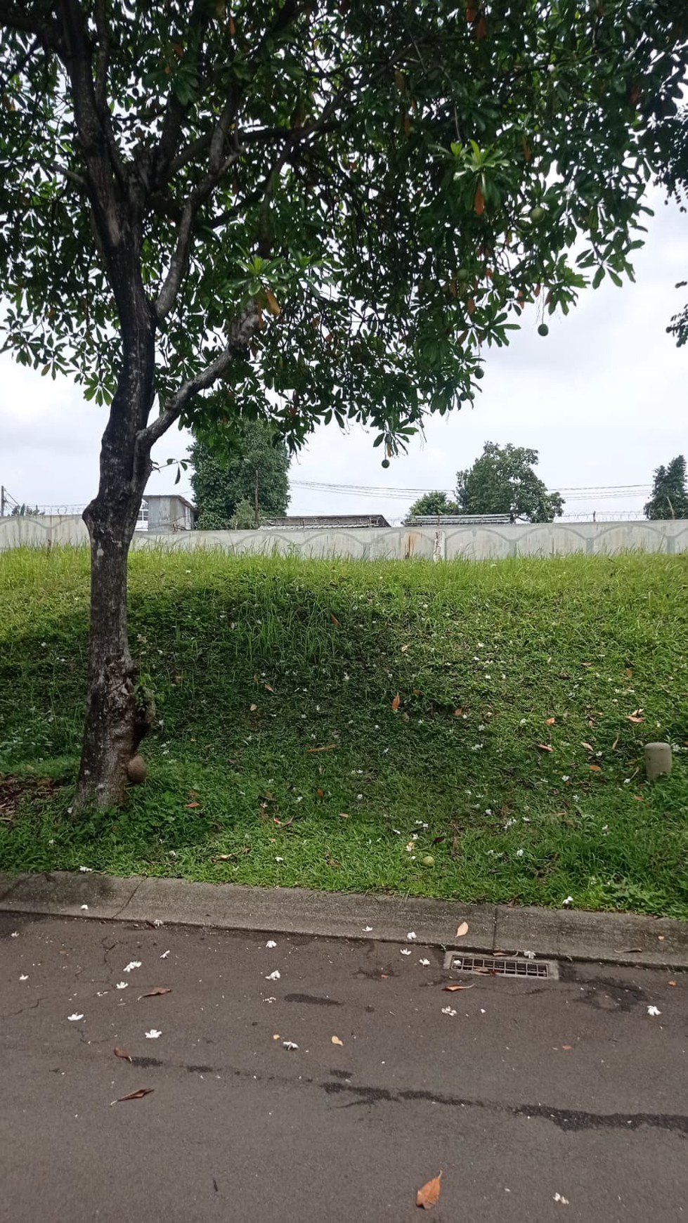 Kavling Strategis di Giri Loka 1 BSD