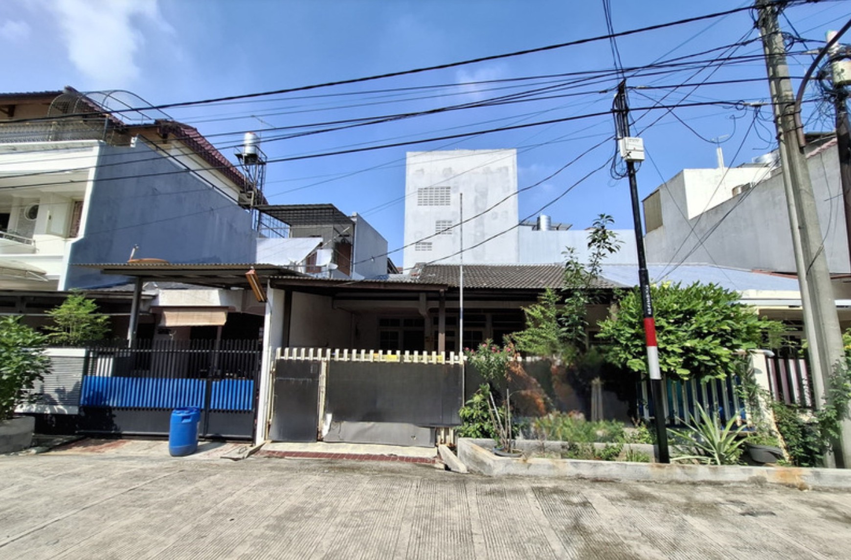 Rumah Kelapa Lilin, Kelapa Gading