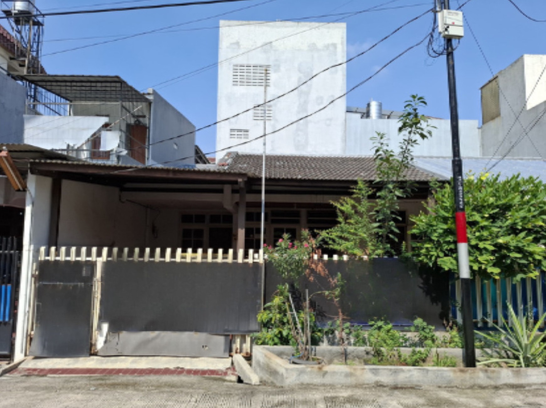 Rumah Kelapa Lilin, Kelapa Gading