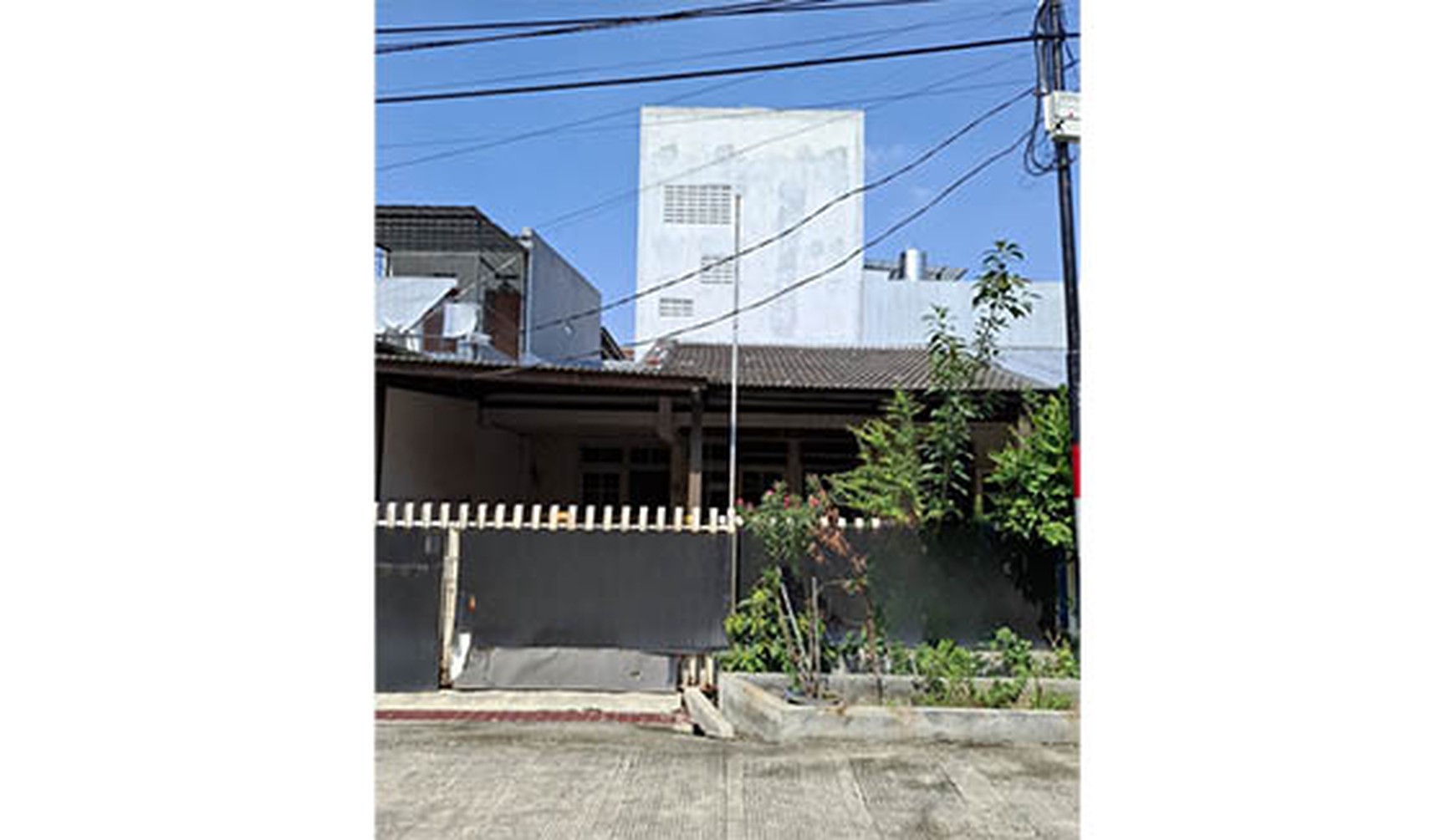 Rumah Kelapa Lilin, Kelapa Gading