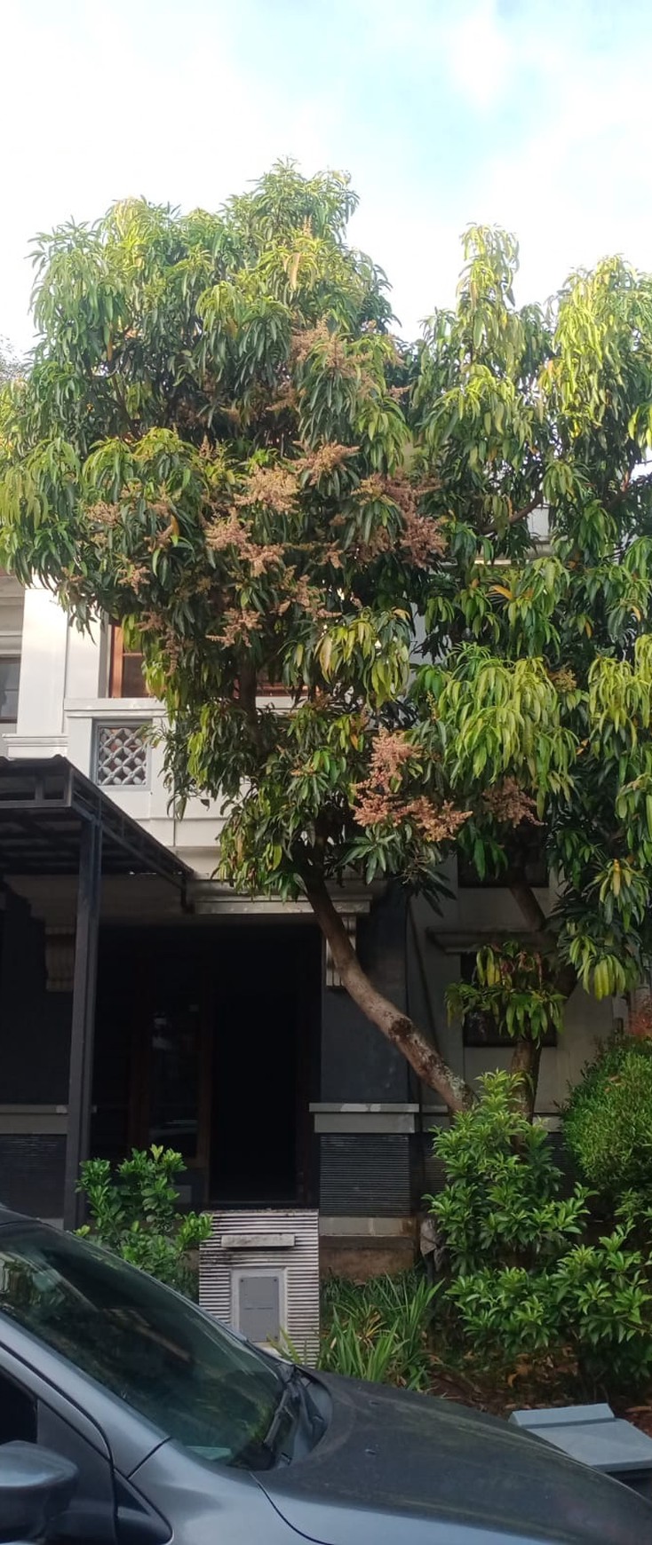 Rumah strategis di The Green