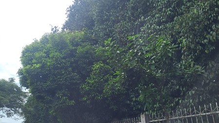 Kavling Murah Siap Bangun dan Lokasi Strategis @Ciputat
