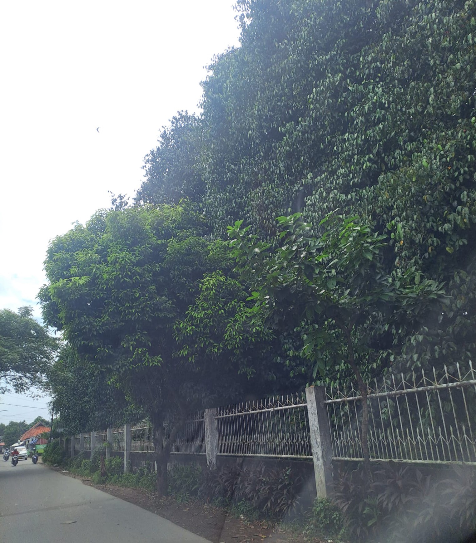 Kavling Murah Siap Bangun dan Lokasi Strategis @Ciputat