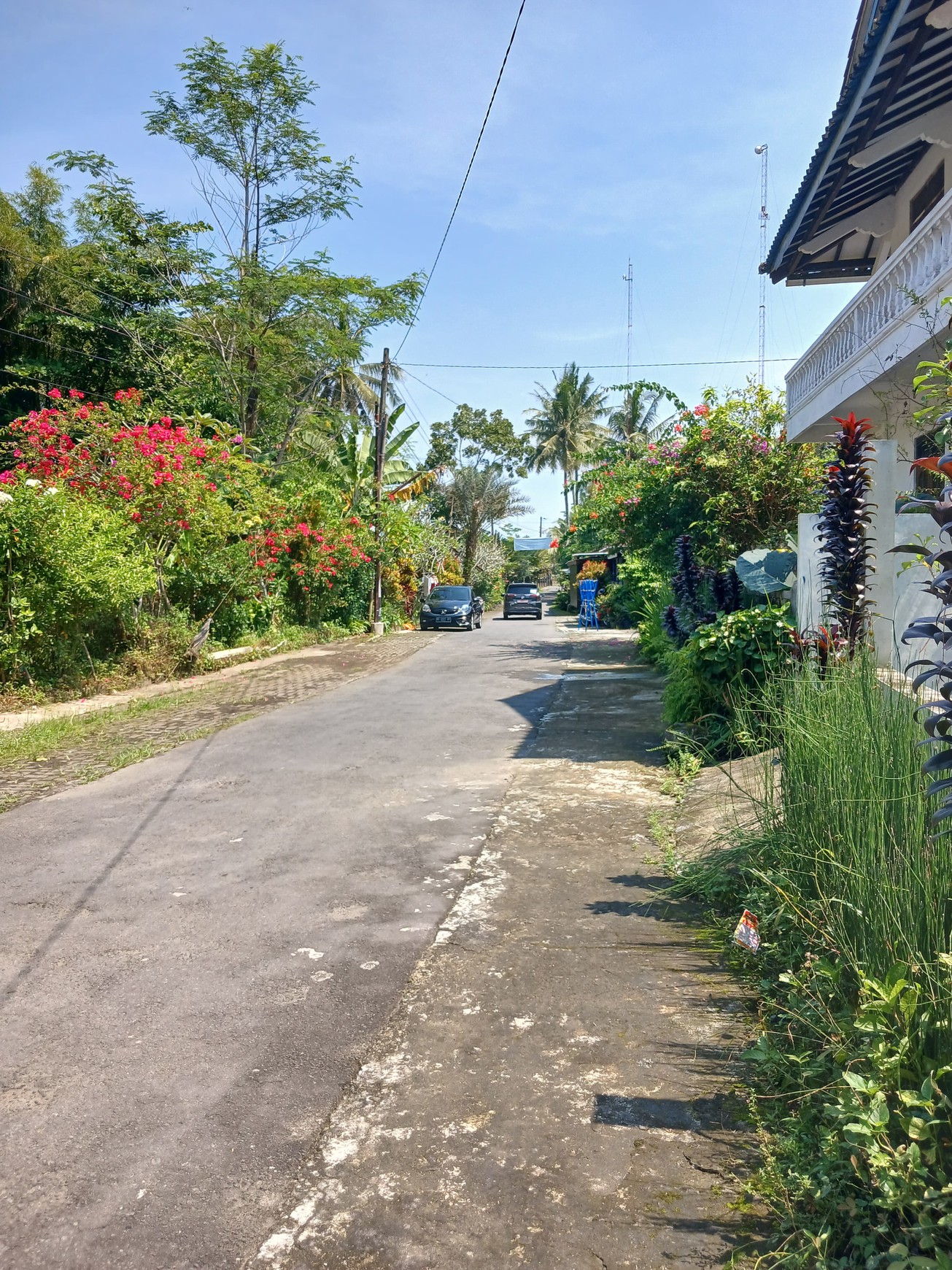 Rumah Tinggal Lingkungan Asri Lokasi Dekat SDN 3 Turi Sleman