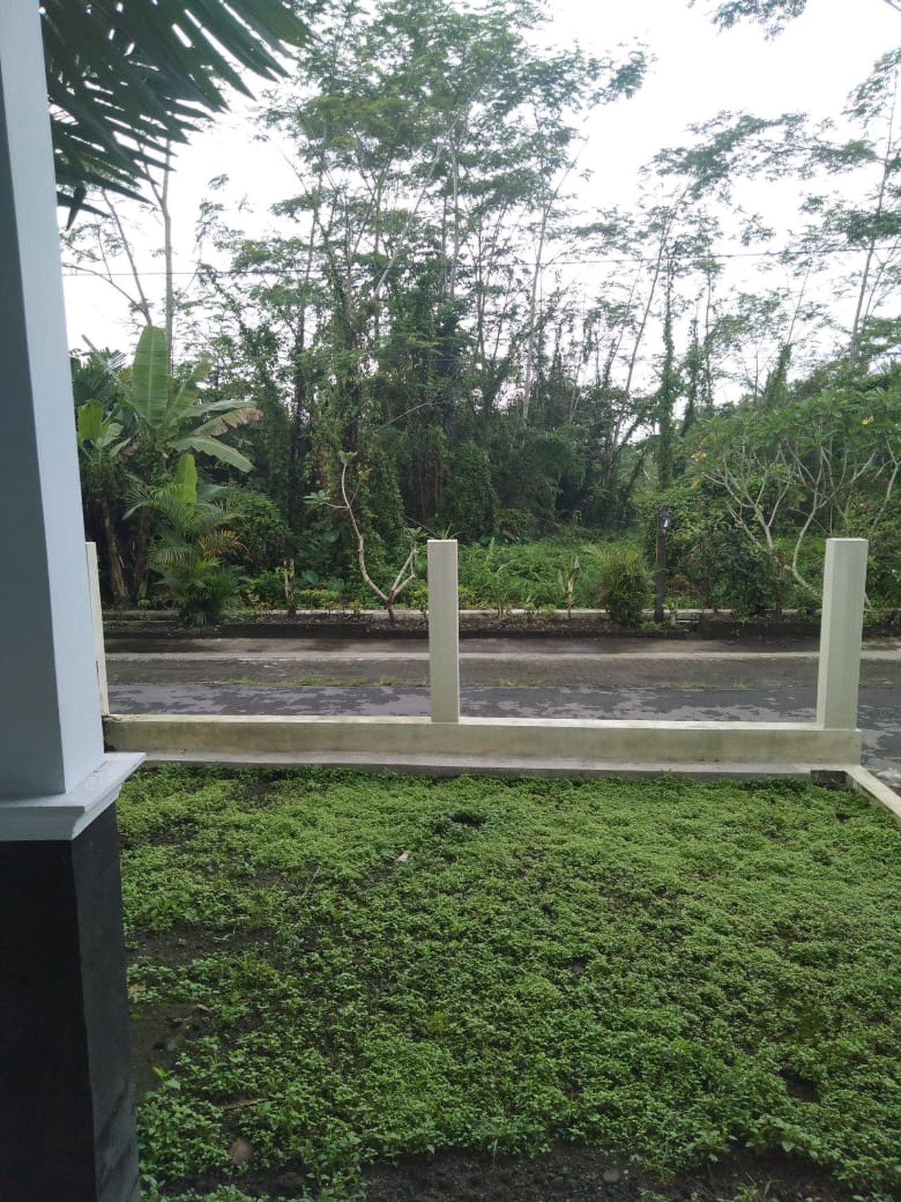 Rumah Tinggal Lingkungan Asri Lokasi Dekat SDN 3 Turi Sleman