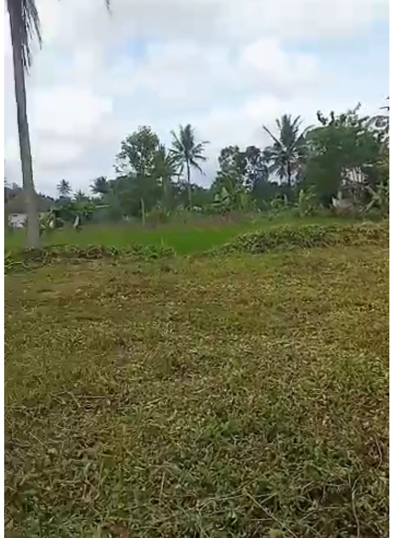 Tanah Luas 404 Meter Persegi Lokasi 2 Km Dari Kampus UII