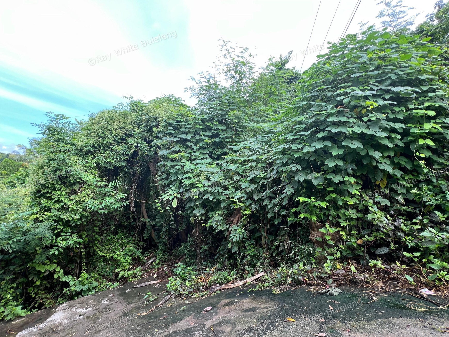 Strategic Land with Paved Access and Ready to Build Infrastructure